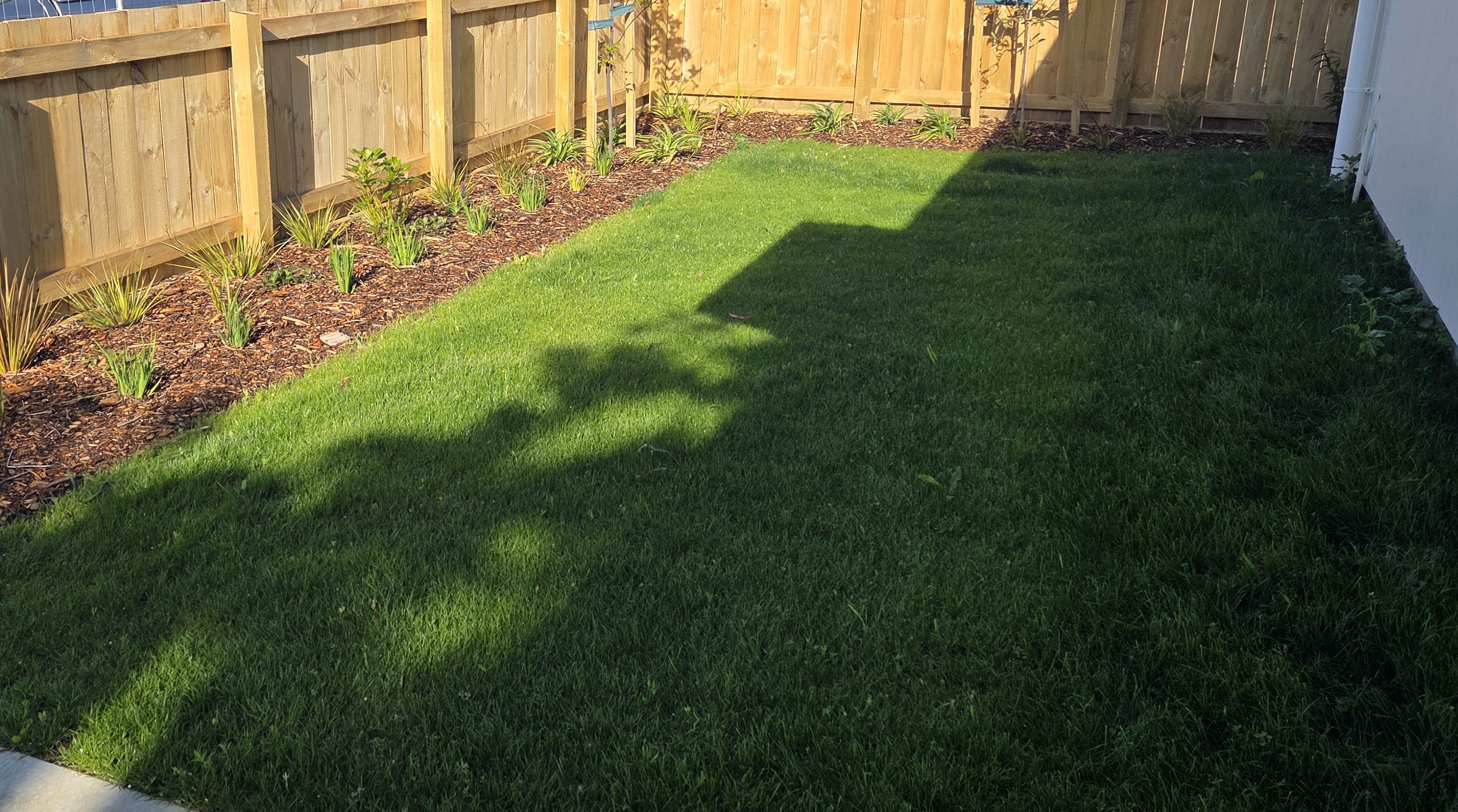 Hydroseeding and instant turf